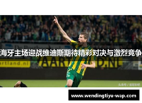 海牙主场迎战维迪斯期待精彩对决与激烈竞争